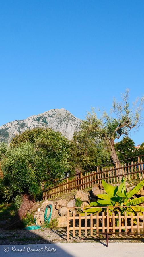 Al Boschetto Apartment Scario Exterior photo